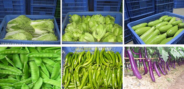 供應果蔬質量標準演示圖